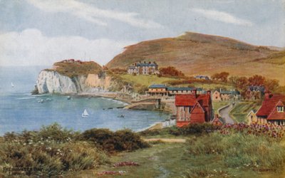 Baie de Freshwater, Île de Wight - Alfred Robert Quinton